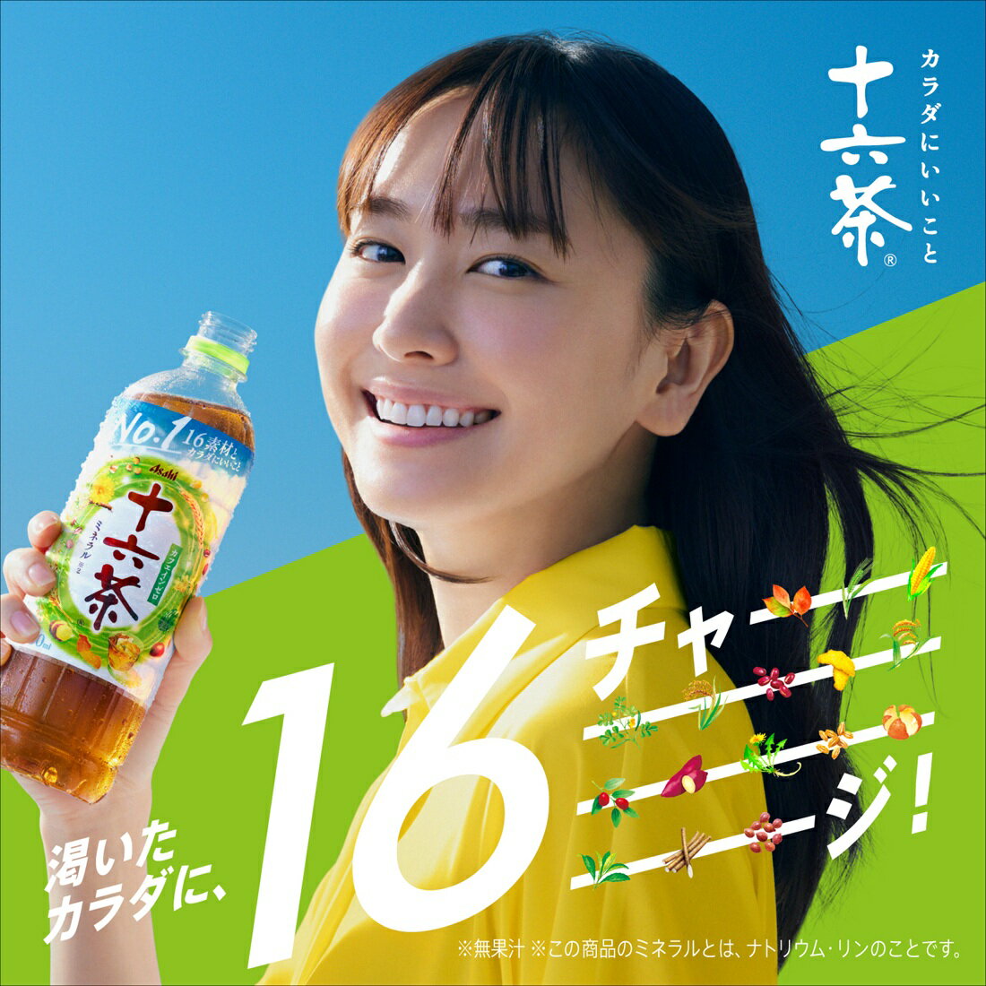 十六茶｜楽天マート - ネットスーパー