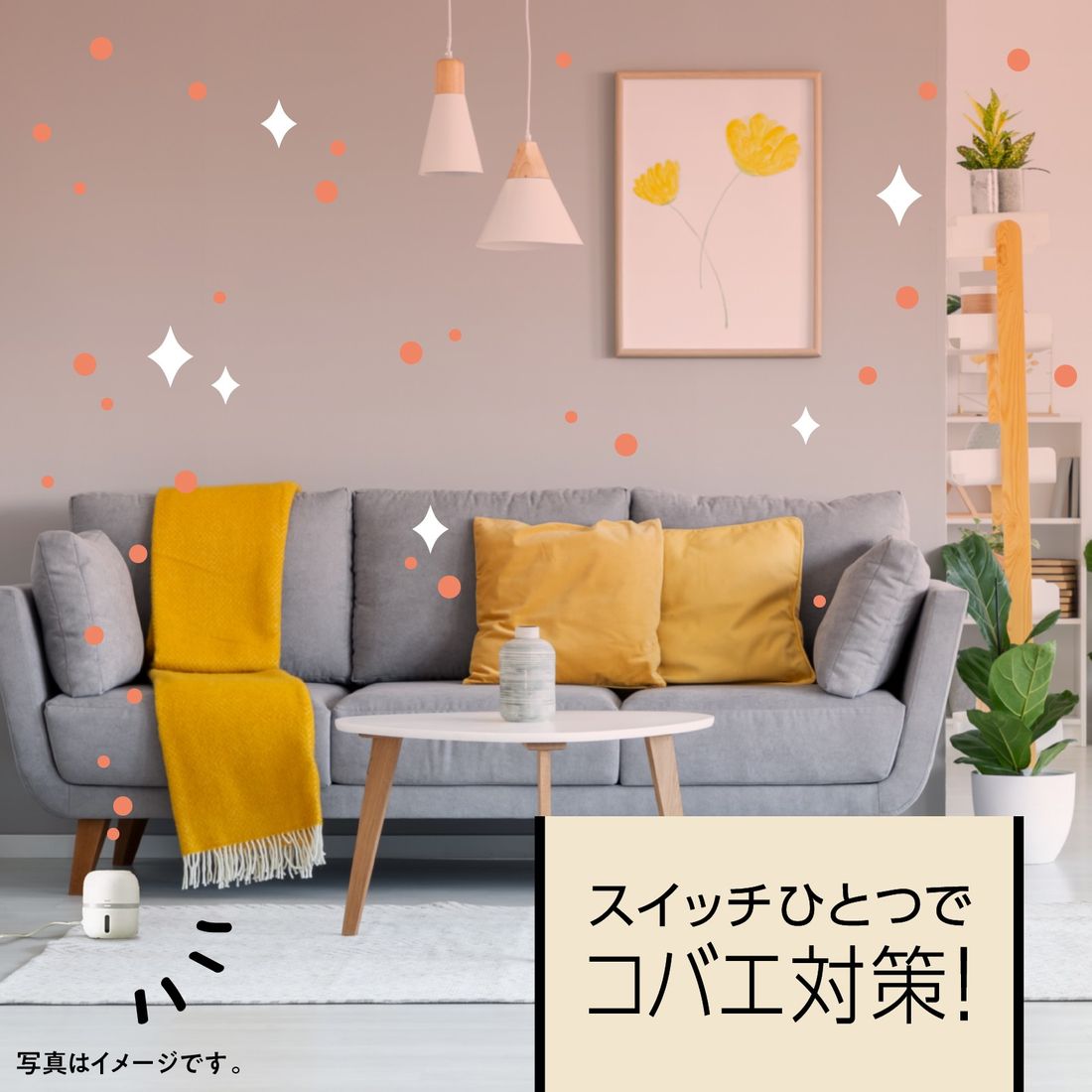 マモルーム コバエ用 2ヵ月用セット｜楽天マート - ネットスーパー