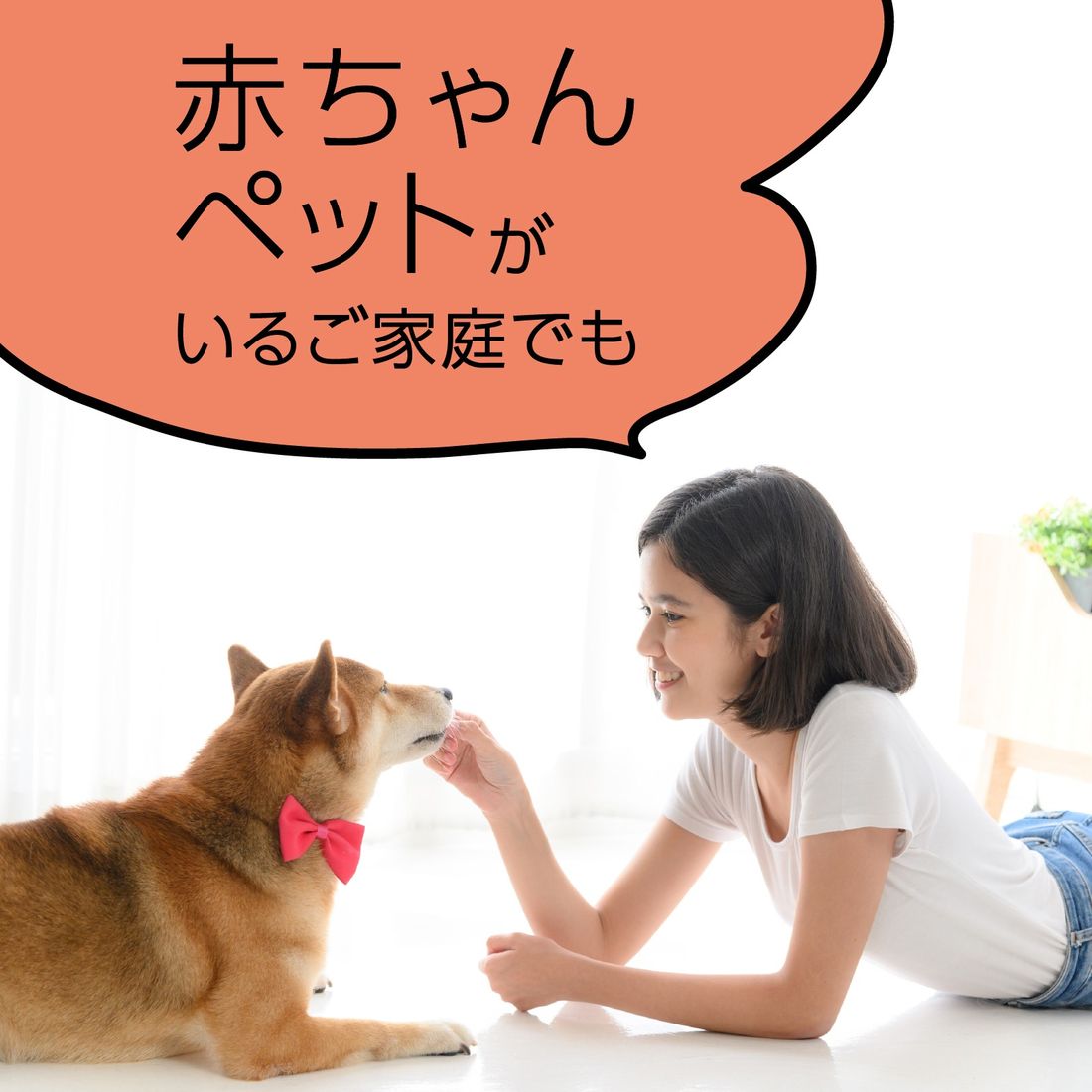 マモルーム コバエ用 2ヵ月用セット｜楽天マート - ネットスーパー