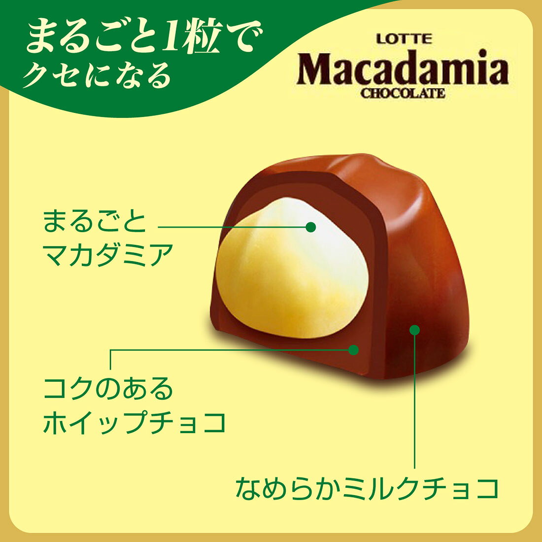 マカダミアチョコレート｜楽天マート - ネットスーパー