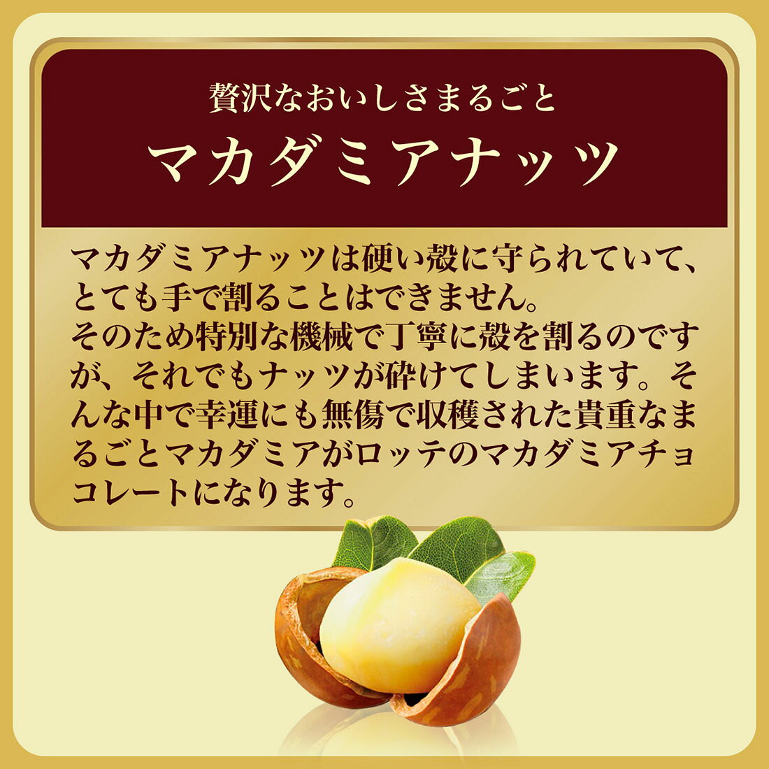 マカダミアチョコレート｜楽天マート - ネットスーパー
