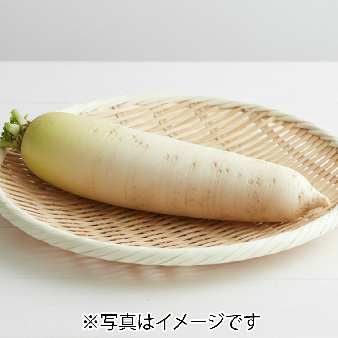 【美品】大根　人気デザイン 掘出し物】大根(小サイズ)｜楽天マート - ネットスーパー