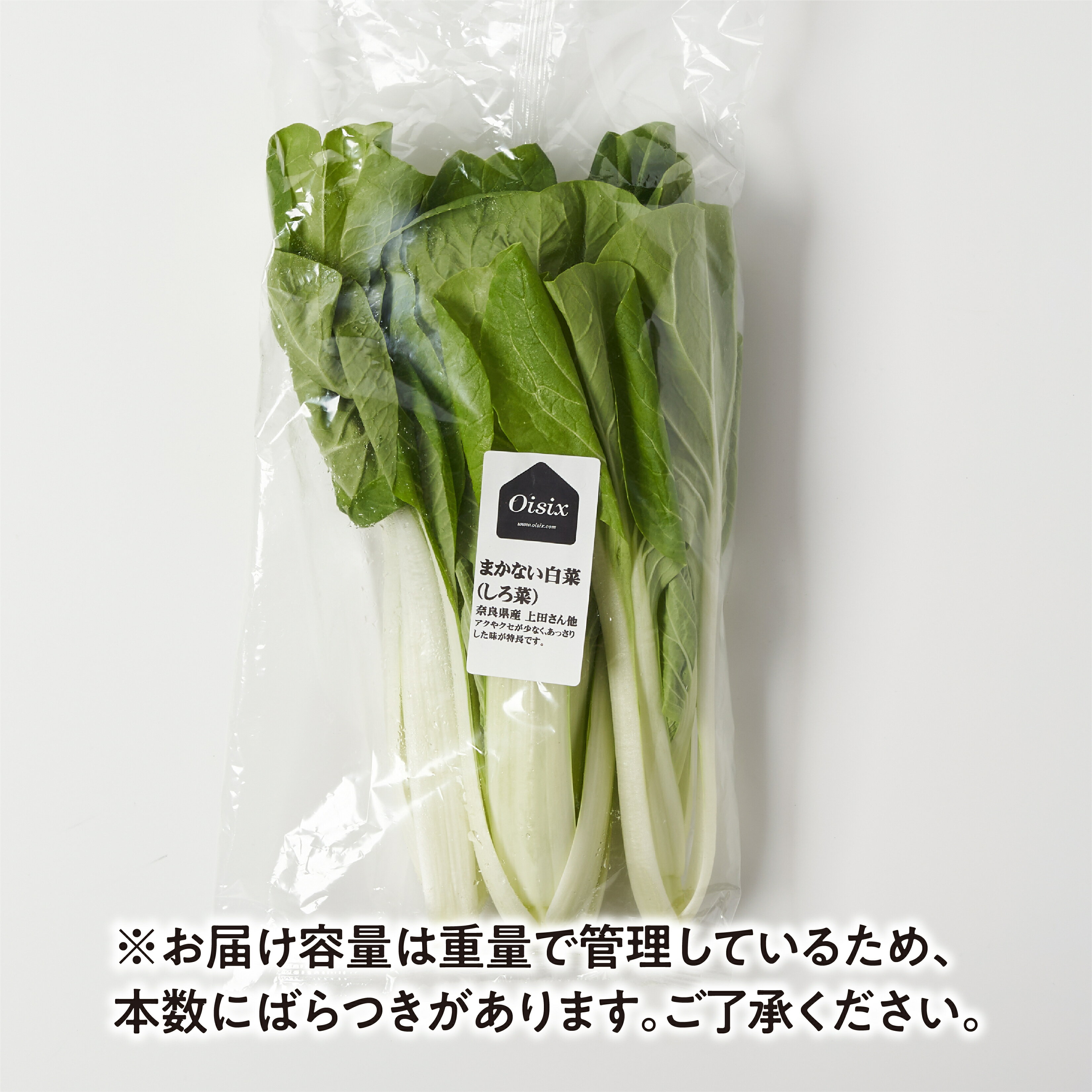 Oisix]あっさりした味が特徴！まかない白菜（しろ菜）｜楽天マート