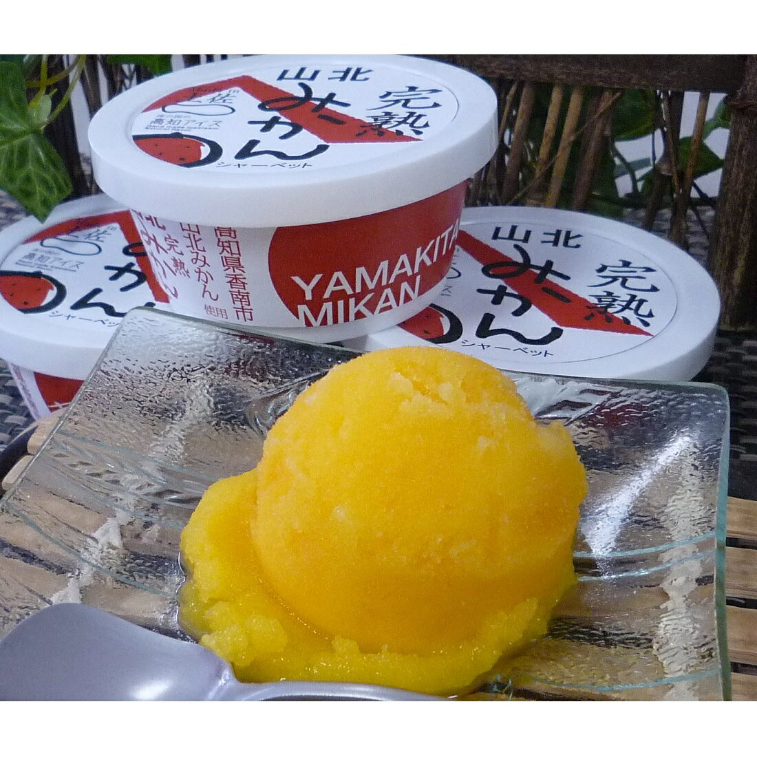 完熟山北みかんシャーベット（冷凍）【楽天市場の厳選グルメ】｜楽天