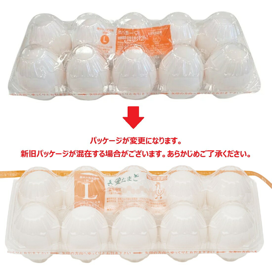 49377736_2.jpg?fit=inside|512: