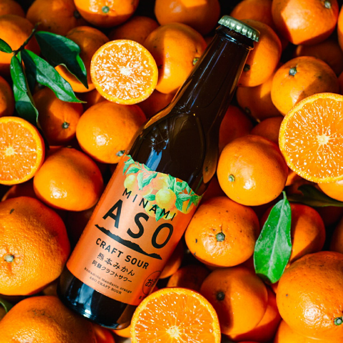 阿蘇クラフトサワー熊本みかん｜楽天マート - ネットスーパー