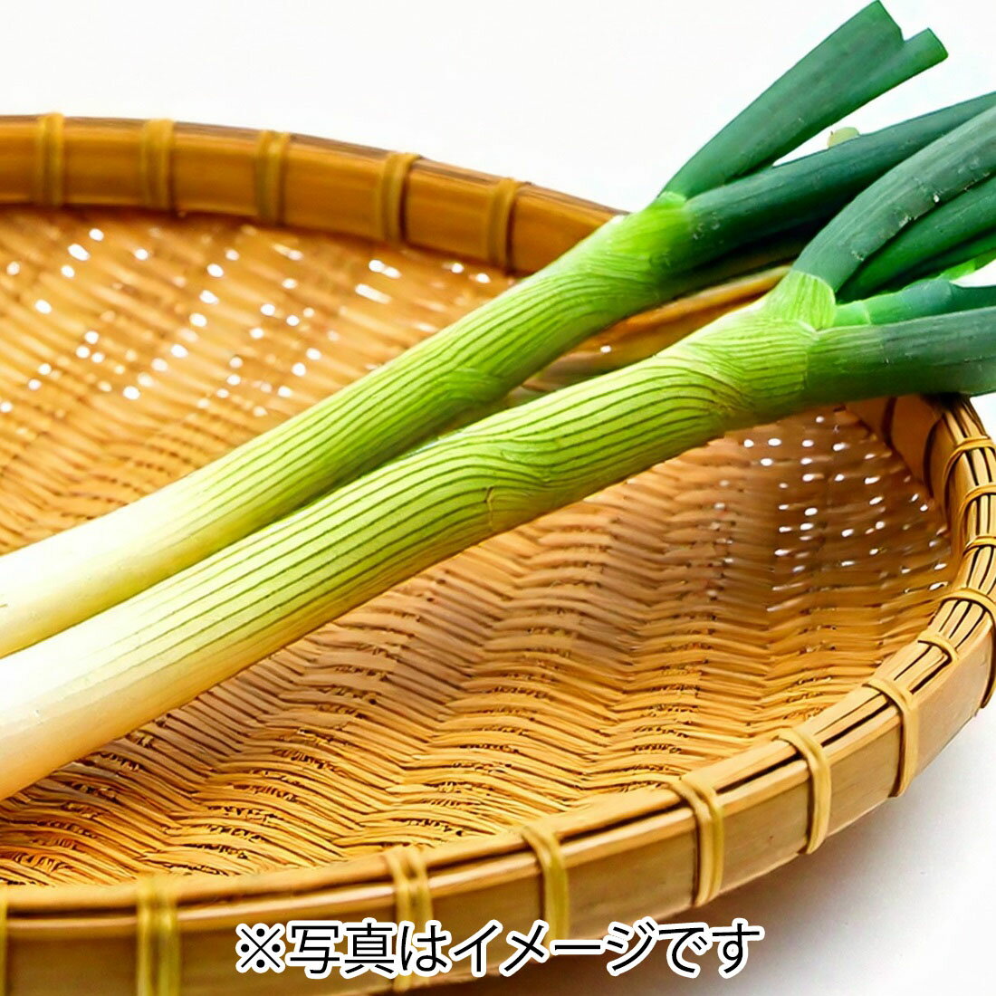 ねぎ　 長ねぎ(上州ネギ)｜楽天マート - ネットスーパー