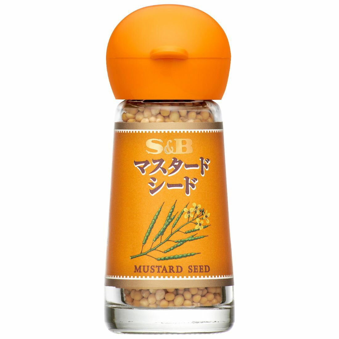 イエローマスタードシード インド産 100g,Yellow Mustard Seeds,原型,マスタードシード,マスタード,シード,芥子