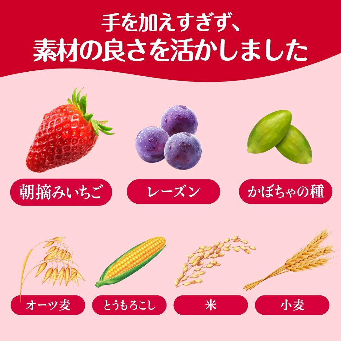 素材まるごとグラノラ 朝摘みいちご 大容量｜楽天マート - ネットスーパー