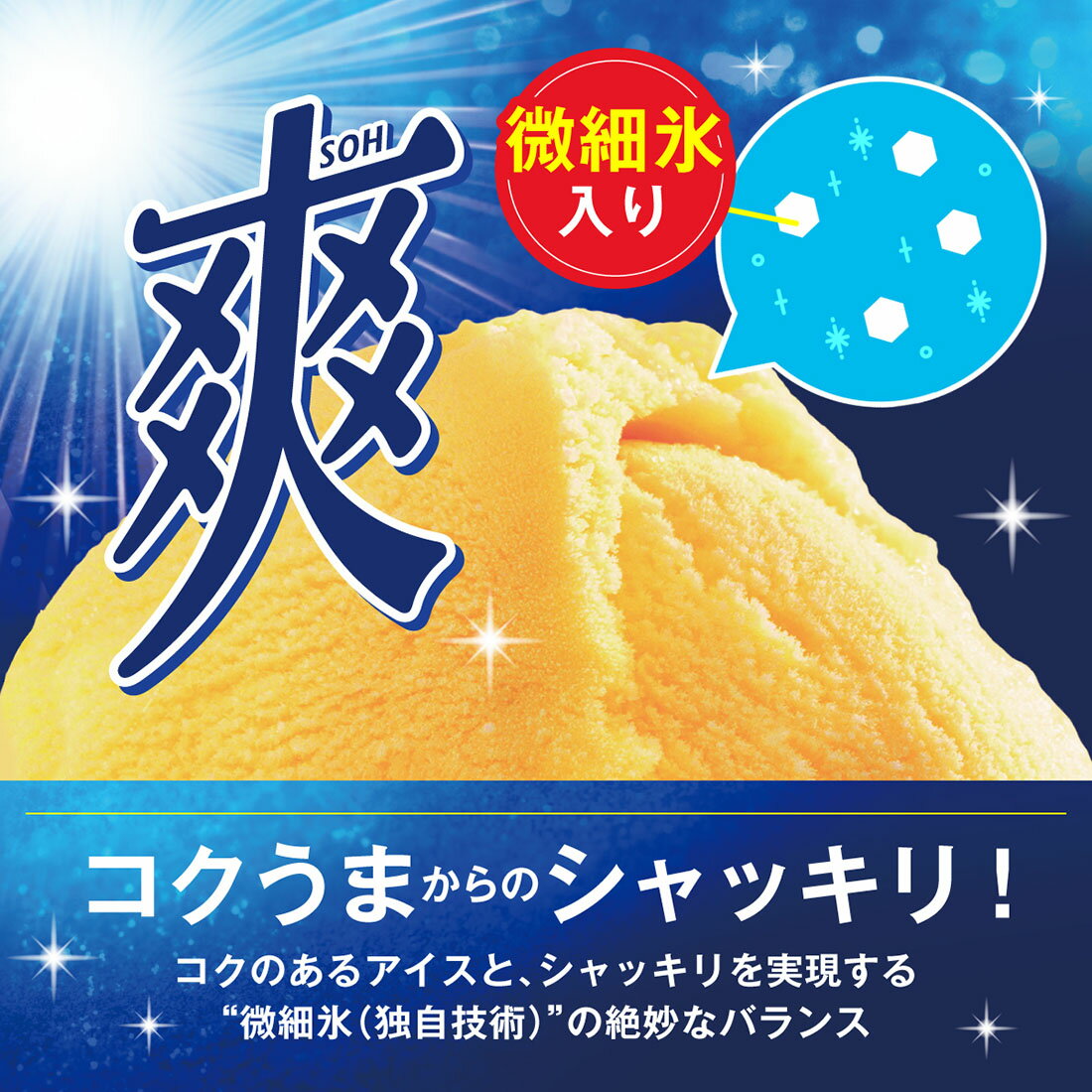 爽 バニラ（冷凍）｜楽天マート - ネットスーパー