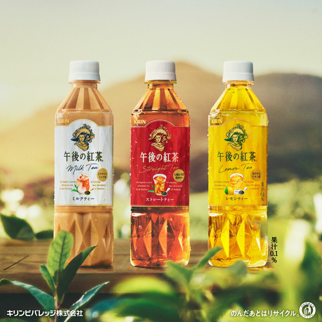 【専用になります】午後の紅茶3種類2箱ずつ、オリーブオイル20個 楽天市場】キリン 午後の紅茶3種のアソートボックスセット
