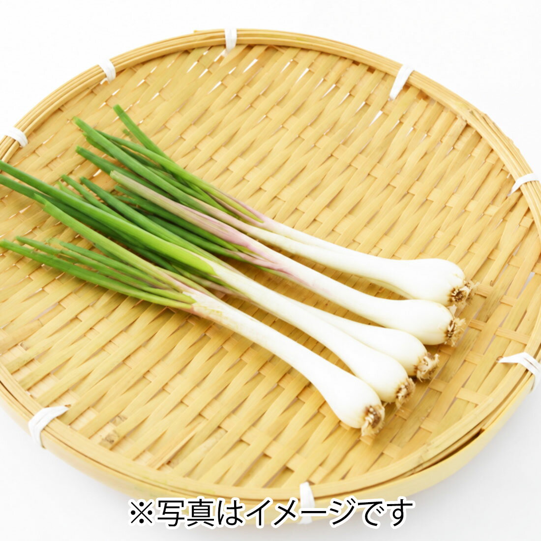 薬味・香味野菜人気ランキング｜楽天マート - ネットスーパー