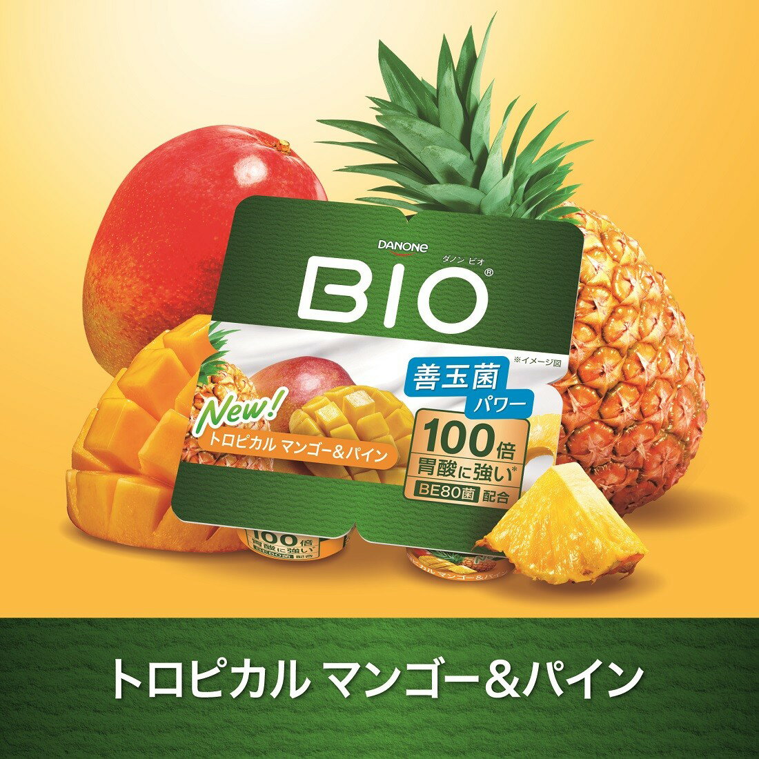 モリンダ　テオラシェイプ（トロピカルマンゴー味40パック）かかえいくん専用 テオラシェイプスムージー40個