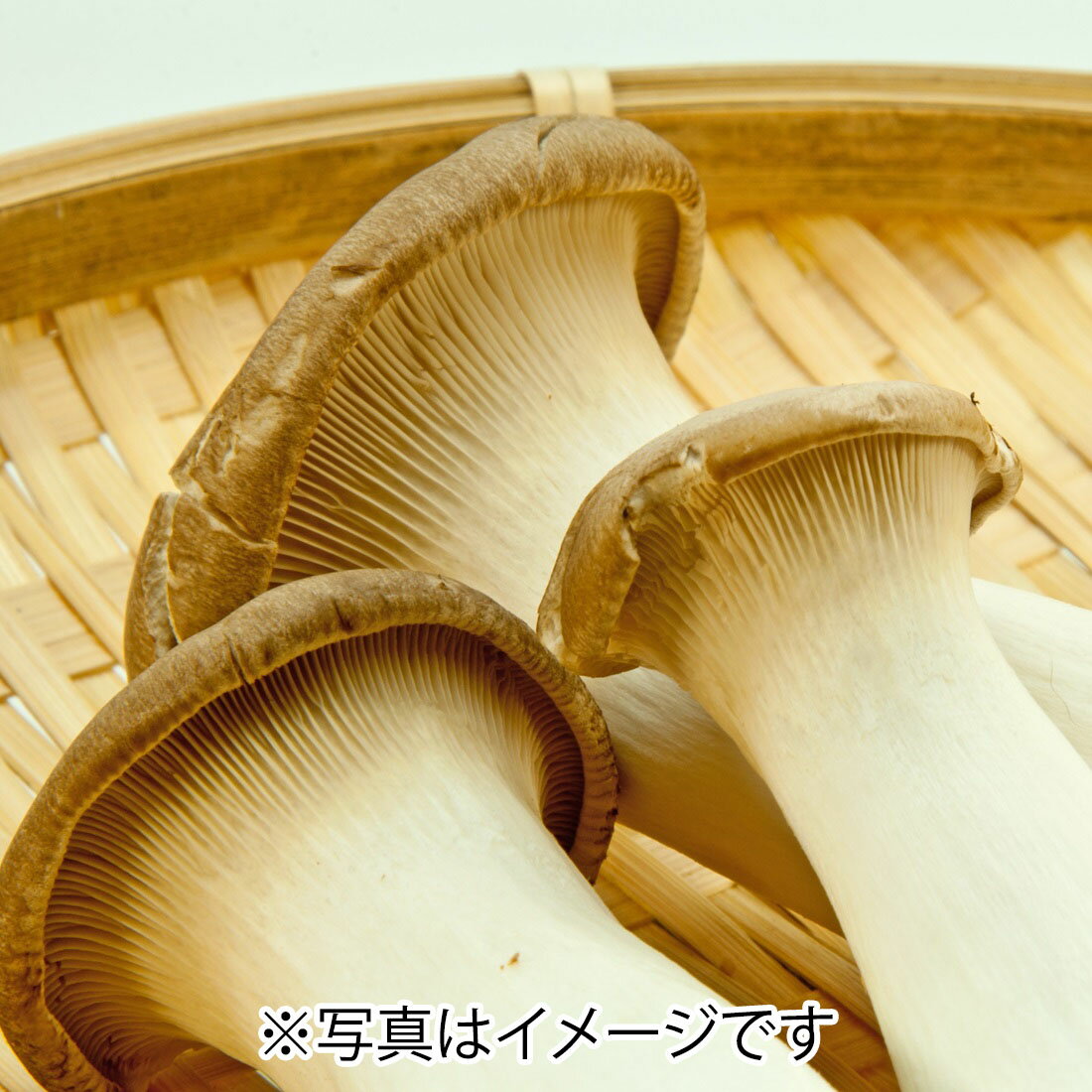 エリンギの宅配なら｜楽天マート - ネットスーパー